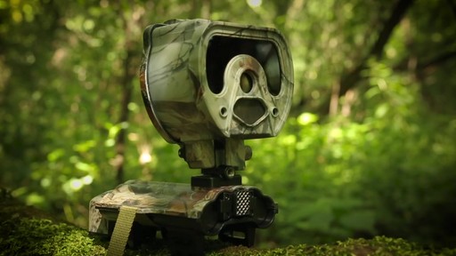 Eyecon Jag 9MP Invisi-Flash Trail / Game Camera Camo - image 1 from the video